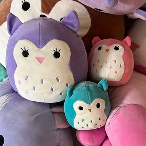 Squishmallow Owl Squad